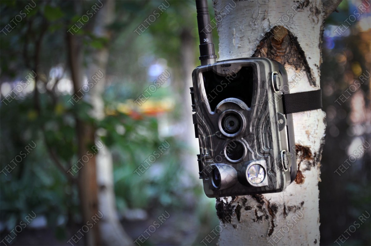 Фотоловушка Филин 300 на дереве