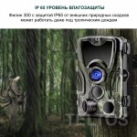 Филин 300 4G LTE